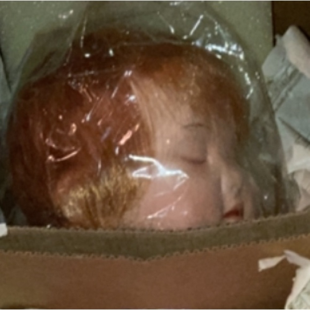 NEW “TWEET DREAMS" #76021 ASHTON-DRAKE ORIGINAL BOX & CERTIFICATE OF AUTH - Picture 8 of 17